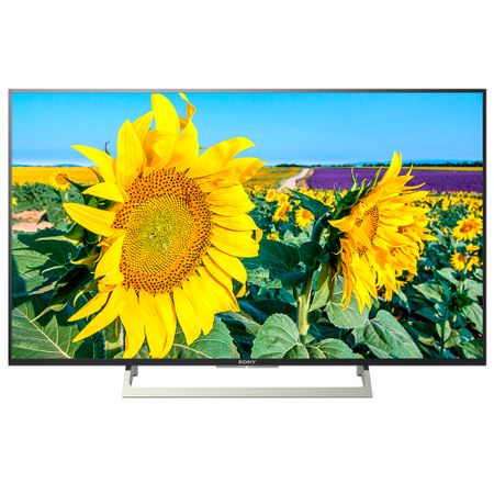 Телевизор Smart Android LED Sony BRAVIA, 49" (123.2 cм), 49XF8096, 4K Ultra HD